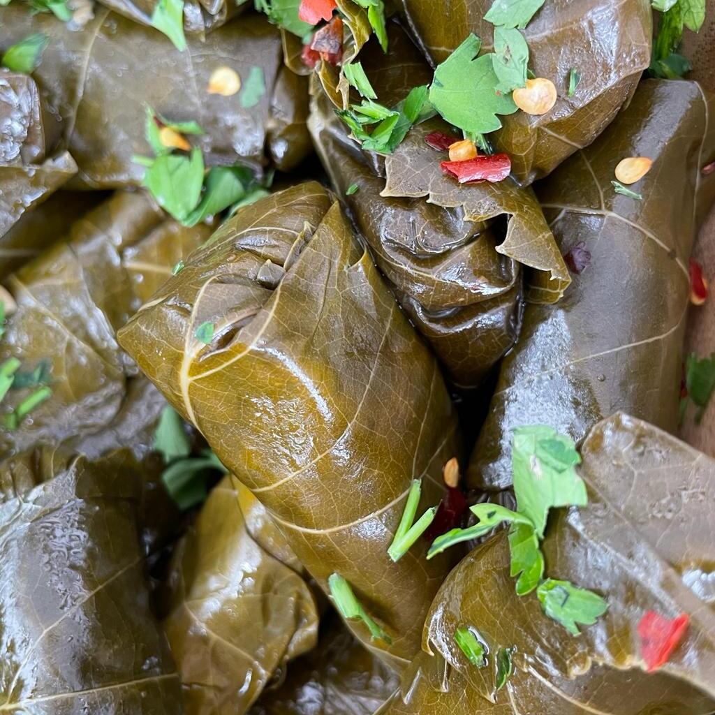 IMG-20241008-WA0020 TANA's Dolma
